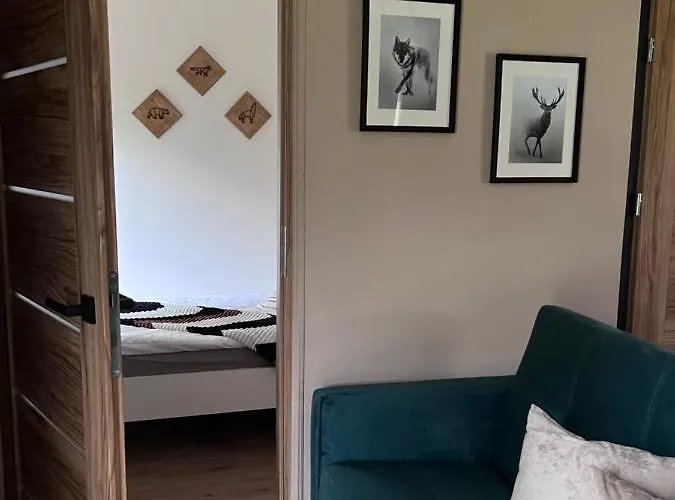 Jeżówka I Sudetka *